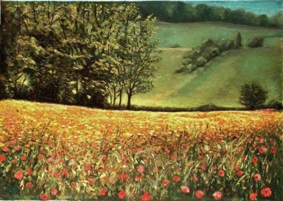 Papaveri-Olio-su-tela-50-x70