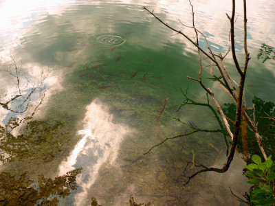 lago trote e ramo secco