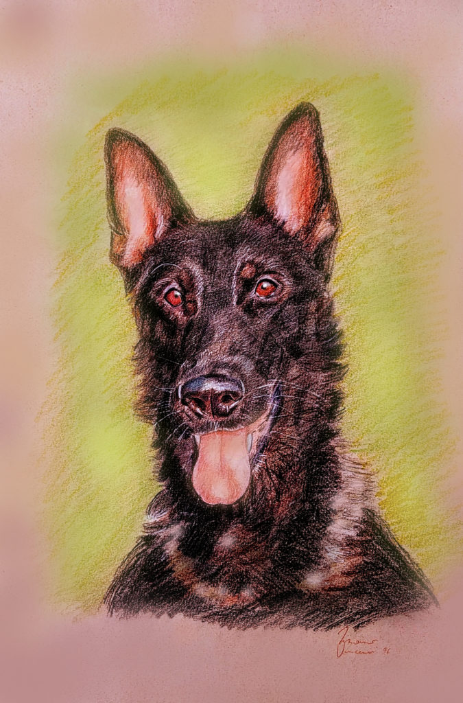 cane luna disegni di cani