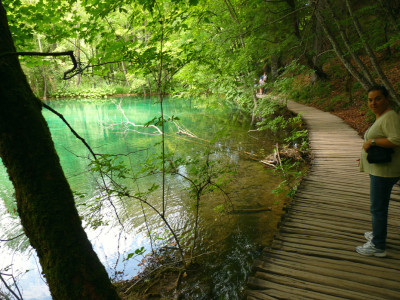 passerella su laghetto verde